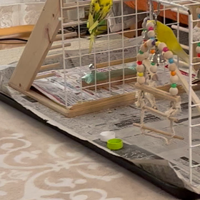 今日も雨☔️の画像