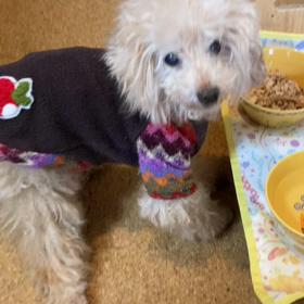 １７歳７ヶ月の画像