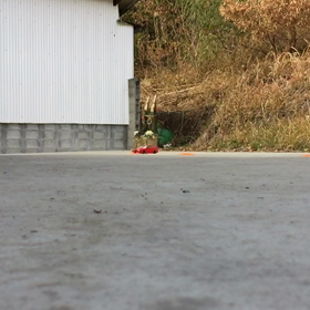 走行レビンの画像