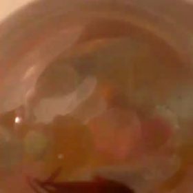 おにょちゃん観察日記の画像