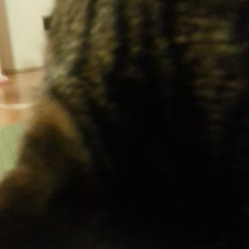 チェック。の画像