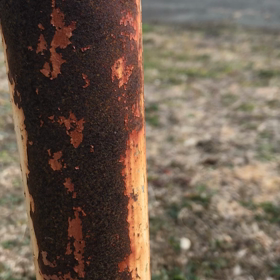 へんたいの画像