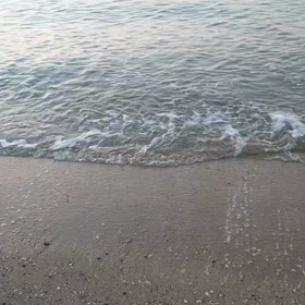 ガッツリ仕事の定休日に、ほっこり動画♪の画像