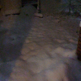 雪国かぁ？の画像