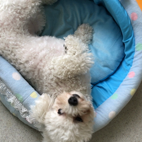 ♪プレイルーム動画♪②の画像