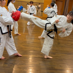 12/14わらび道場成年稽古動画の画像