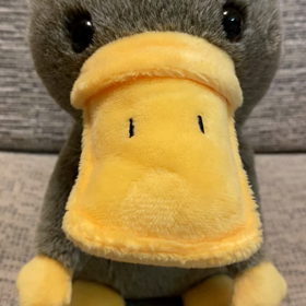 カモノハシちゃん、お上手！！(*ﾟ▽ﾟ*)の画像