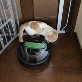 撮れた！！の画像