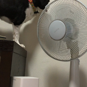 ■大好きなママの起こし方■の画像