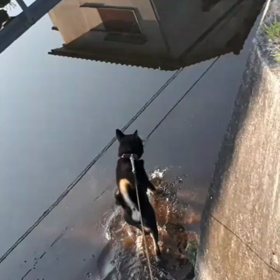 Happy My life (o^-')b !の画像