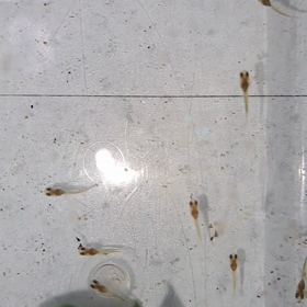 赤ちゃんの画像