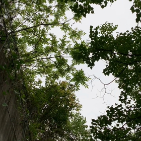 今日はマラソンの日の画像