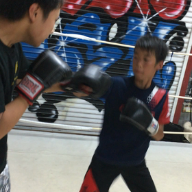 新たな仲間！太陽くん( ^ω^ )の画像