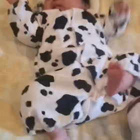 拳法の達人？の画像