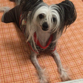 ムービィングたてぃの画像