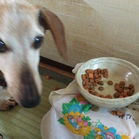 最近の夕方の光景の画像