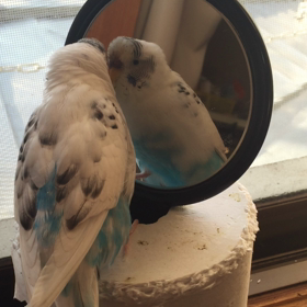 おいちぃちぃ食べた❓の画像