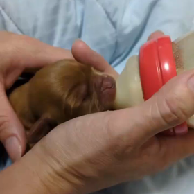 可愛いクムちゃん♪の画像