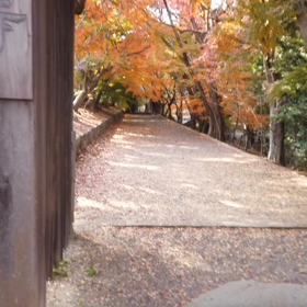 丈六寺の紅葉の画像
