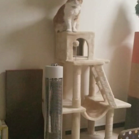 *太ったのか入れない(汗)*の画像