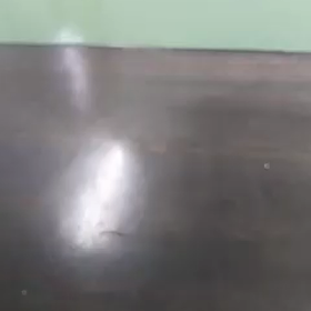 a4今日は最後のブログの画像