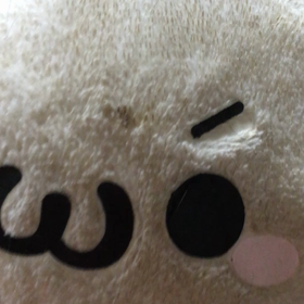 シャキーン!の画像