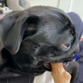 うつろな目。。。の画像