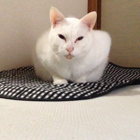 みんな   ひさしぶりの画像