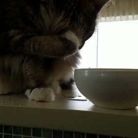 可愛いんですが…の画像