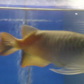 3月25日のどかな昼下がり❗の画像