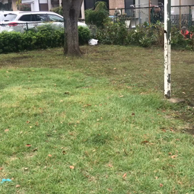 スポーツ鬼ごっこの画像