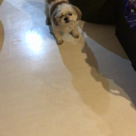 歌いますの画像