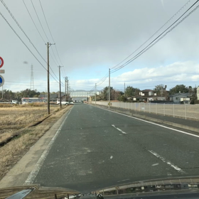 雪の降らない町にも雪が降りました。の画像