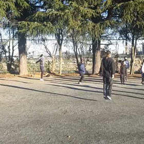 バランス⑤の画像