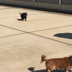 動いてる^ ^の画像