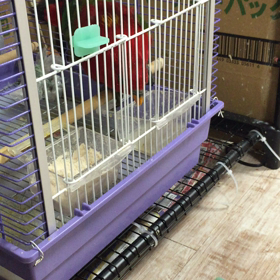 やっべーぞの画像