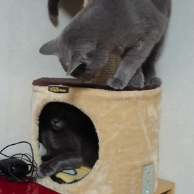 お疲れ様の画像