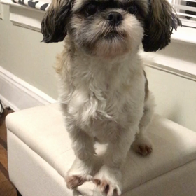 キワドイ2人　第5話、6話の画像