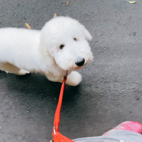 アイコンタクト☆の 画像