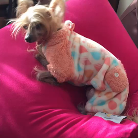 ストライキの画像