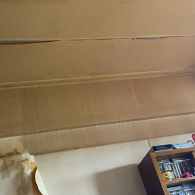 そうゆうこと？の画像