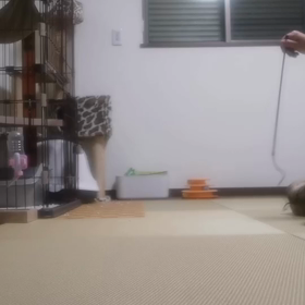 何もしない一日の画像