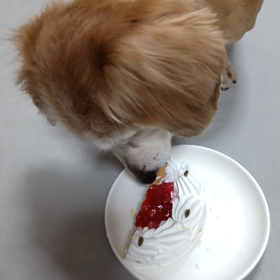 今日もバースデーケーキの画像