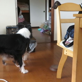 結構激しいの画像