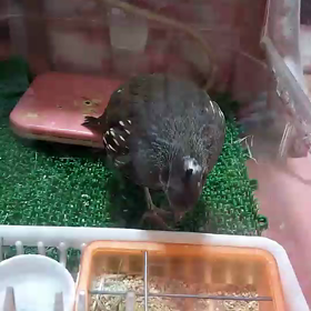 通院2日目の画像