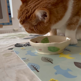 豆ちゃんのお食事風景の画像