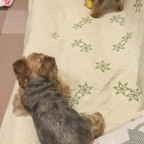 怖いから……の画像