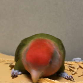 まさよさんの漢字ワークの画像