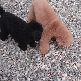 怖いそらの画像