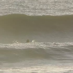 お手本のような。。。の画像